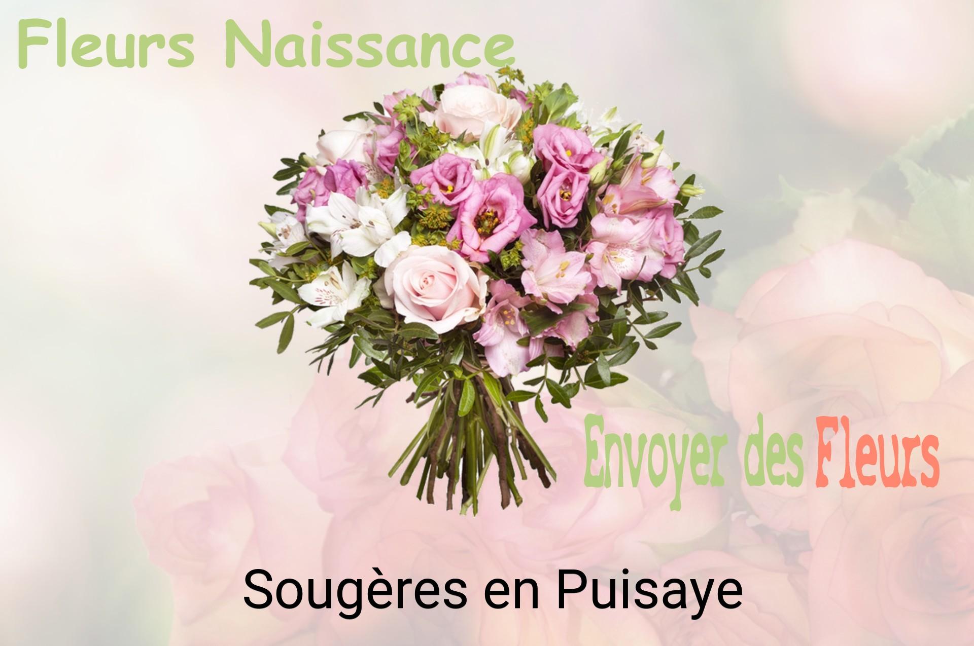 Bouquet de fleurs de naissance livré à Sougères-en-Puisaye